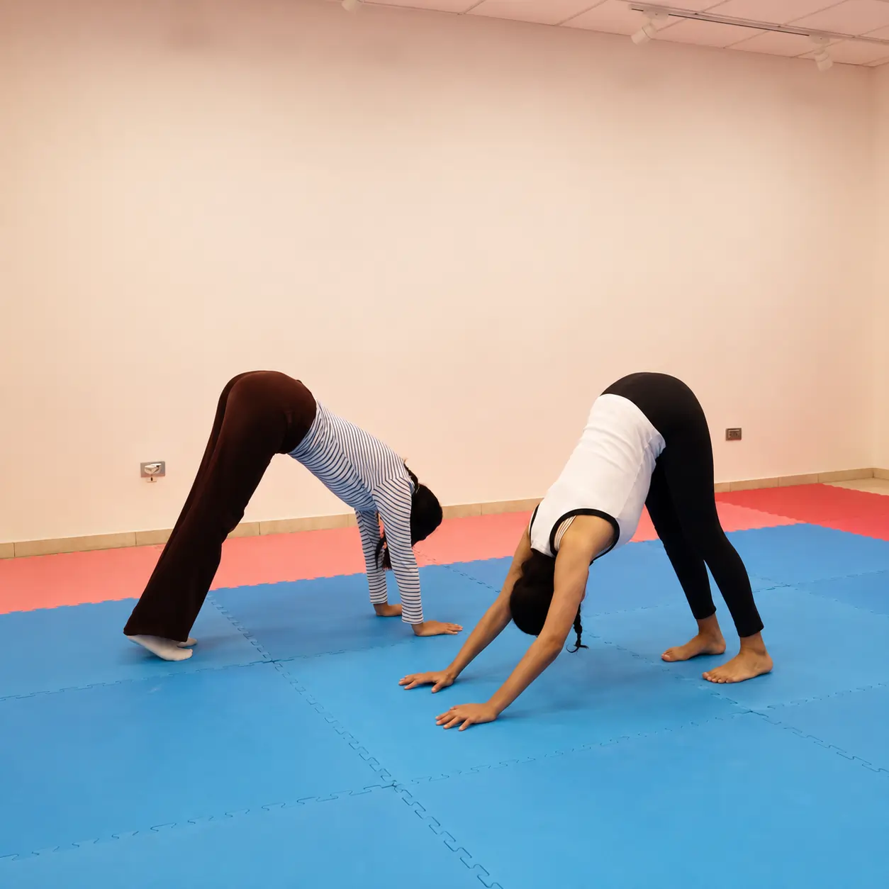flexi1